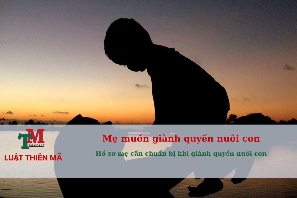 Mẹ giành quyền nuôi con khi ly hôn: 5 yếu tố giúp tăng tỷ lệ thắng tại Tòa 2 Hồ sơ mẹ cần chuẩn bị khi giành quyền nuôi con