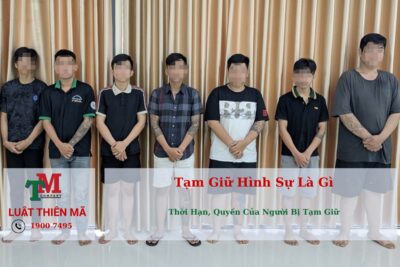 Tạm Giữ Hình Sự Là Gì